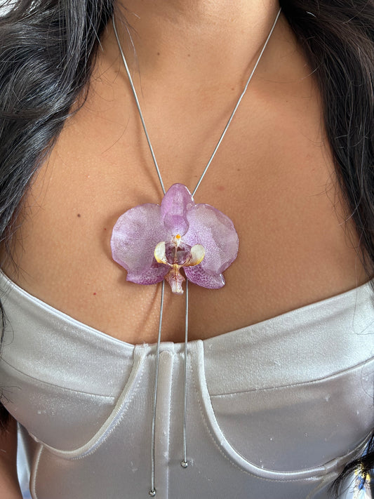 Grand Orchid lilac