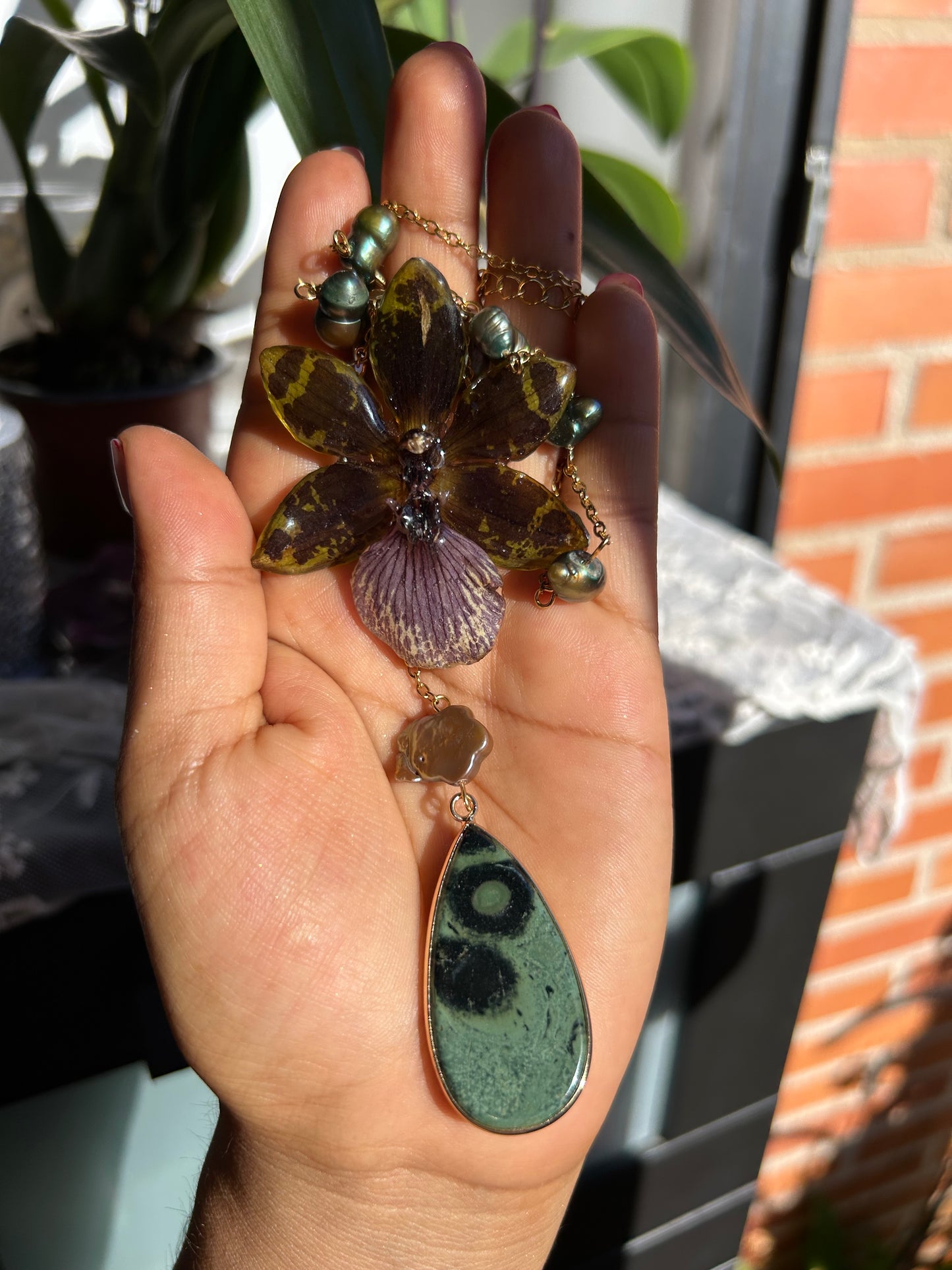 Deep zygopetalum orchid