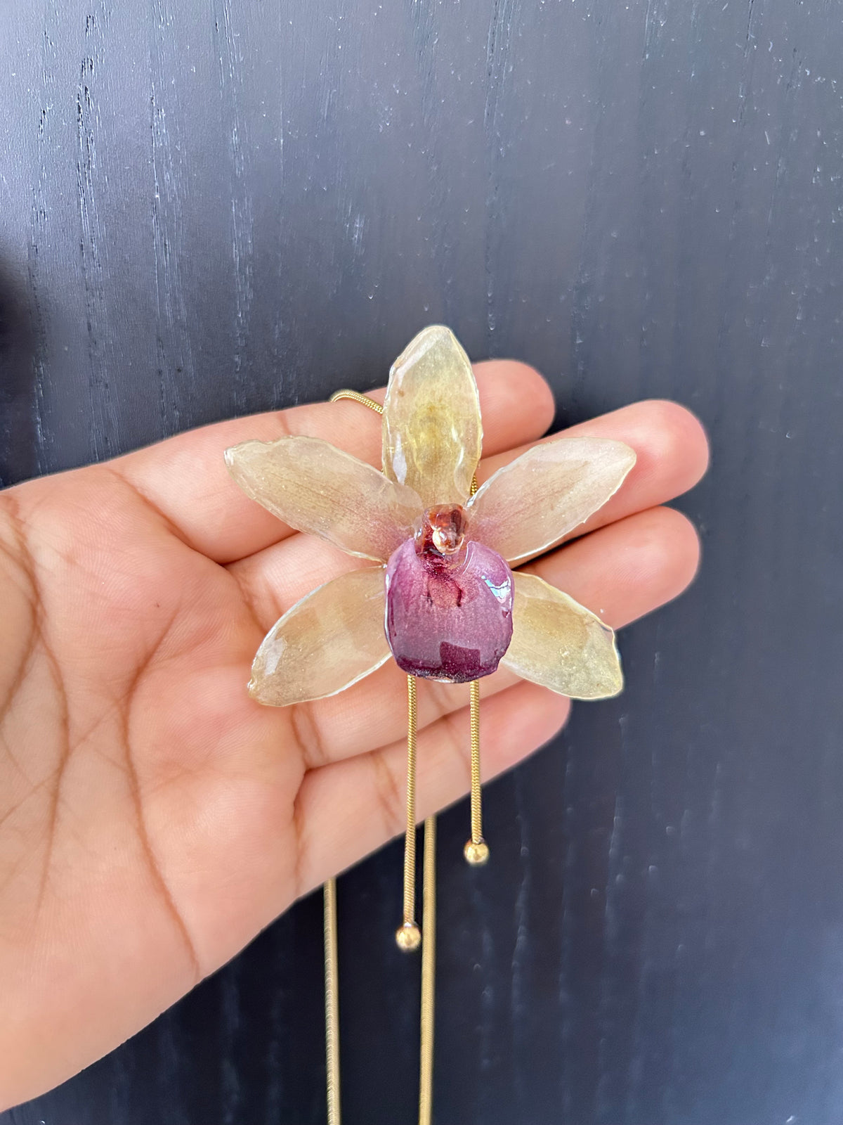 Cymbidium Jaina