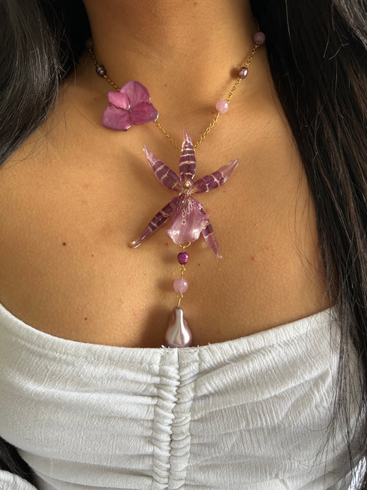 Brassia pink