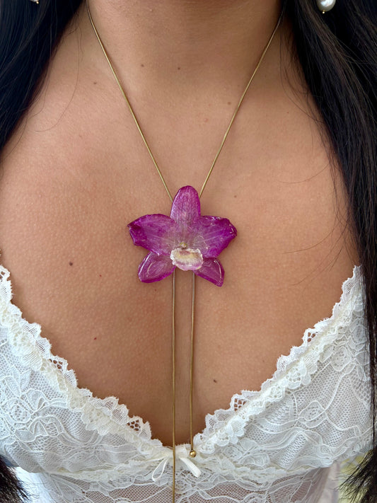 Orchid dendrobium nobile