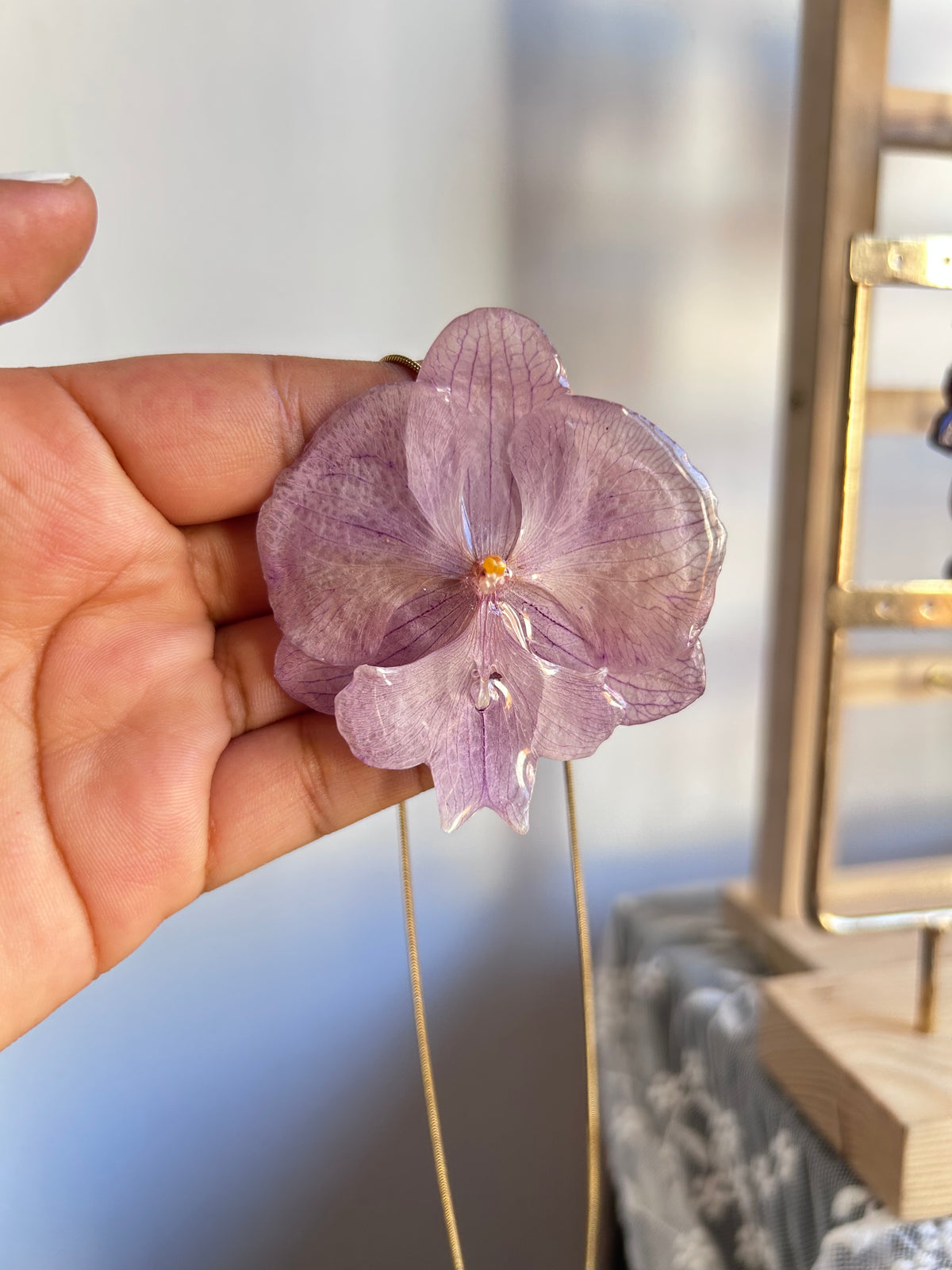 Phalaenopsis suave lila