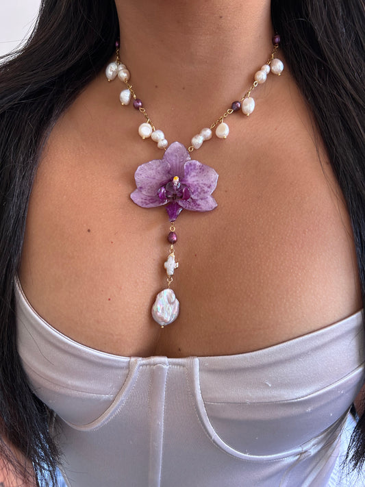 Sweet Phalaenopsis orchid