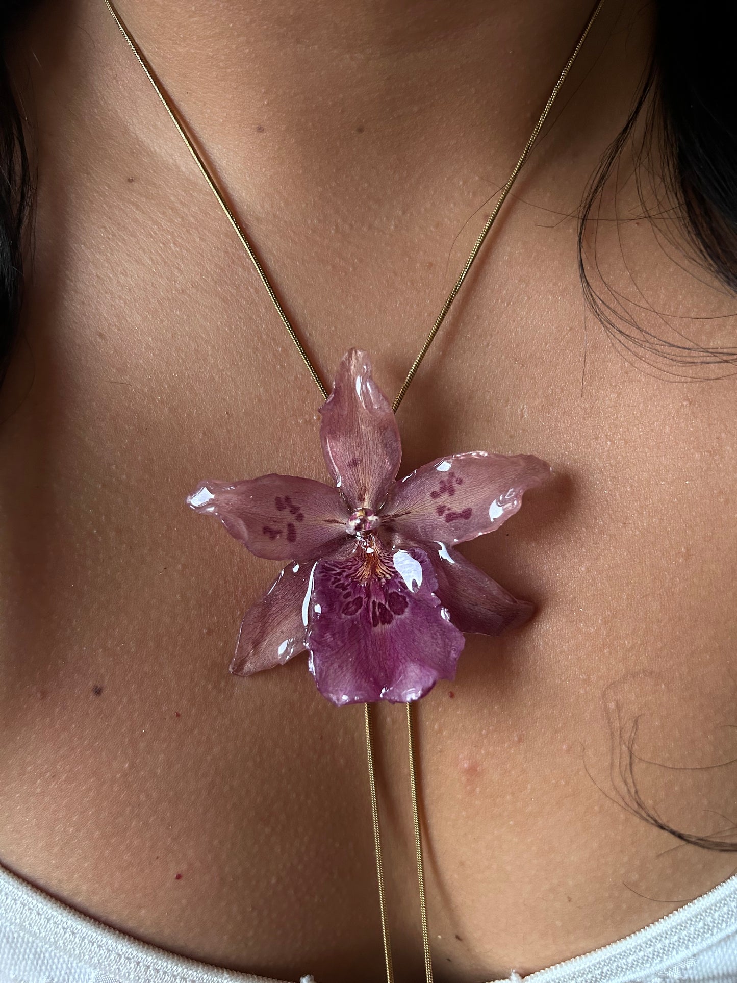 Orchid Beallara pink