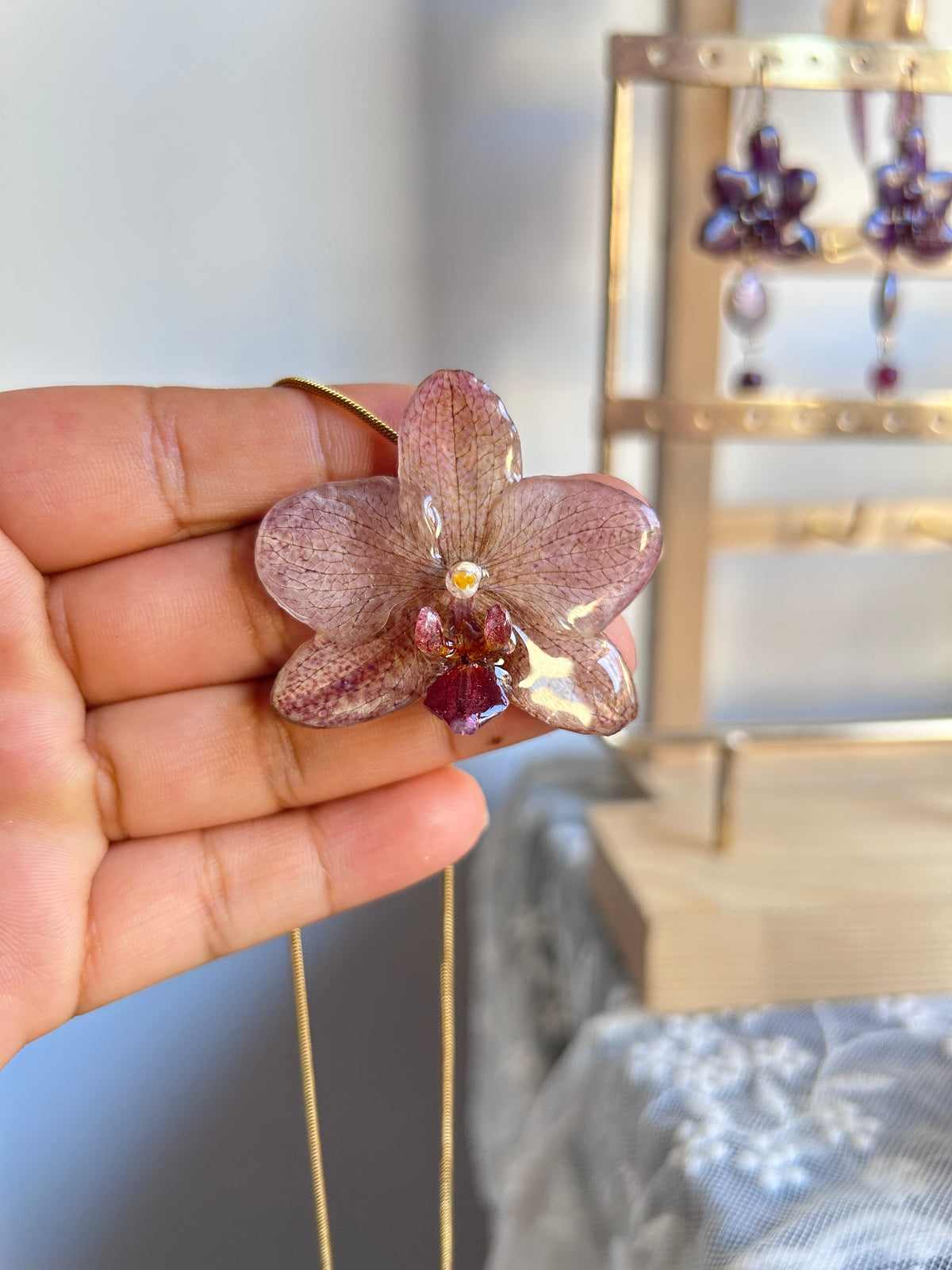 Phalaenopsis picosa