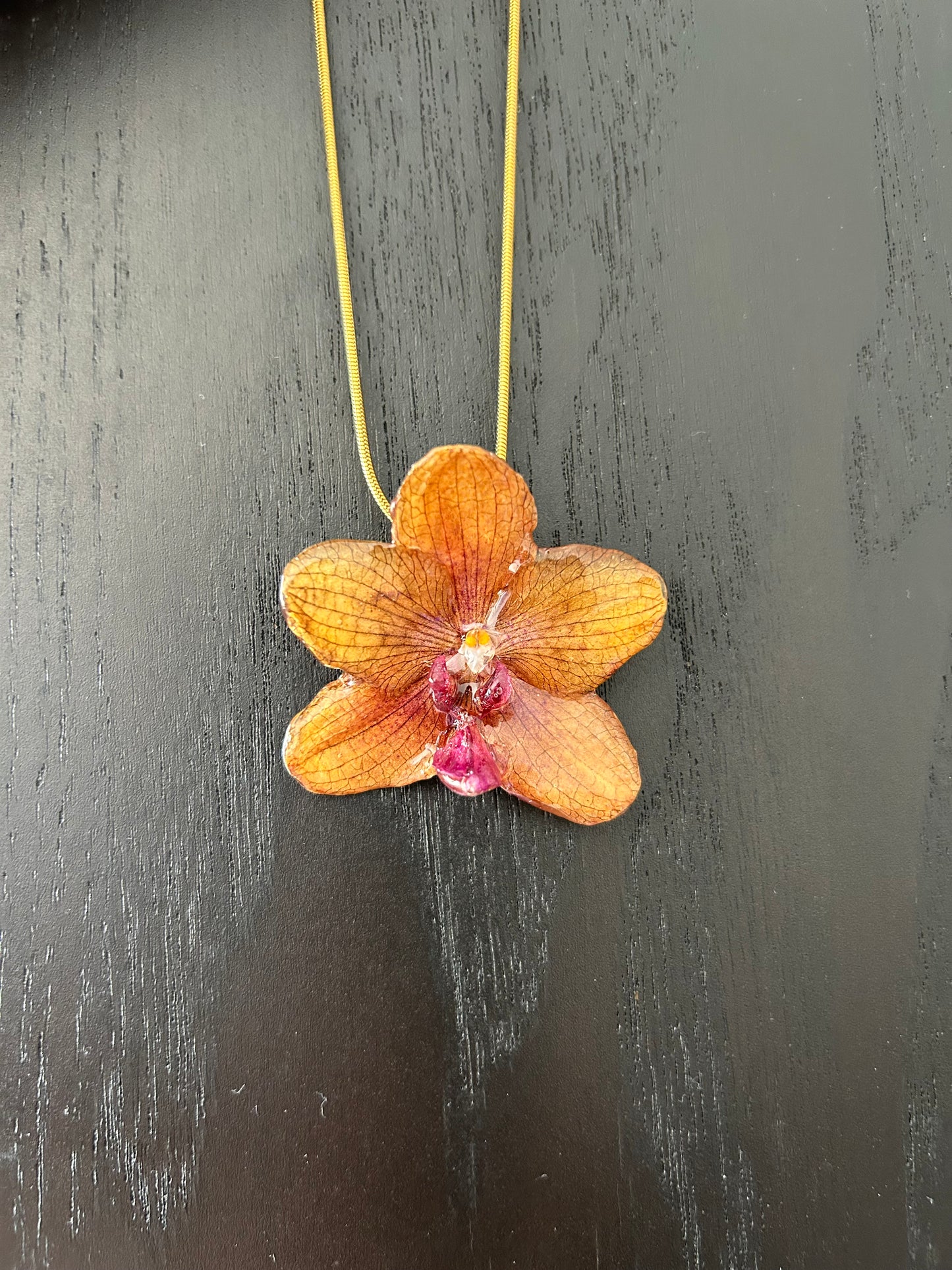 Orange orchid