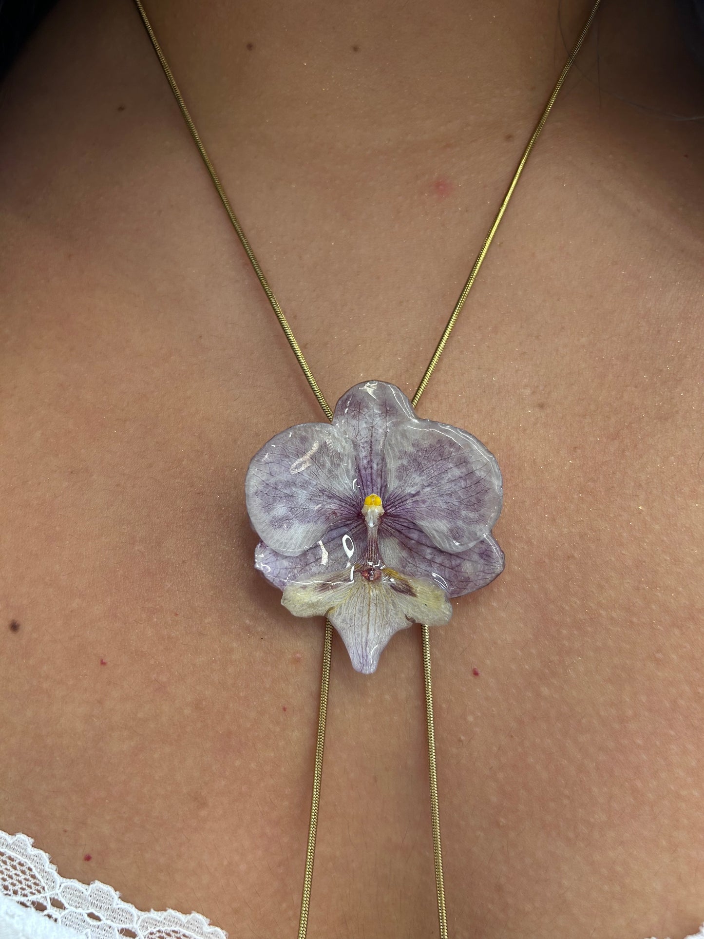 Orchid moteada