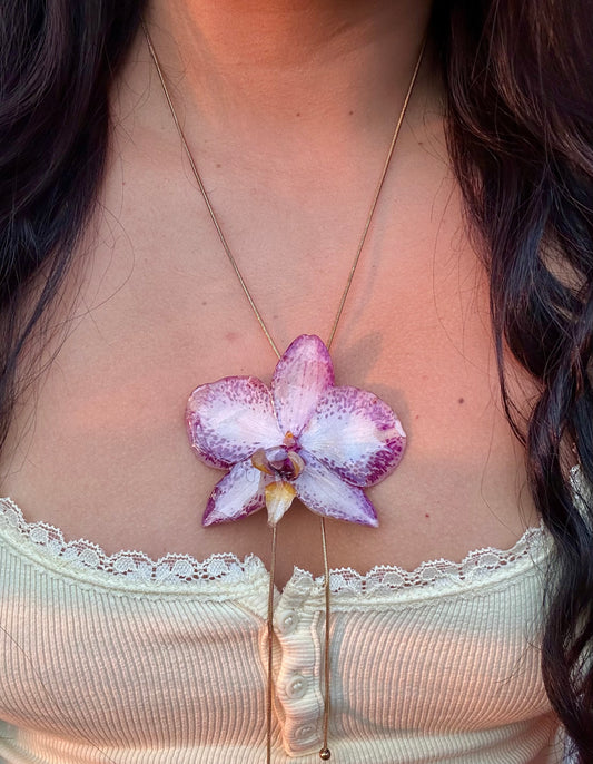Grand Orchid
