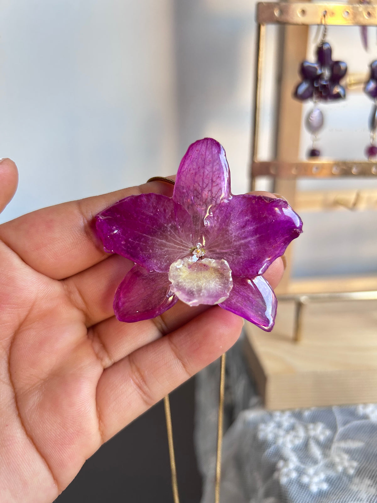 Orchid dendrobium nobile