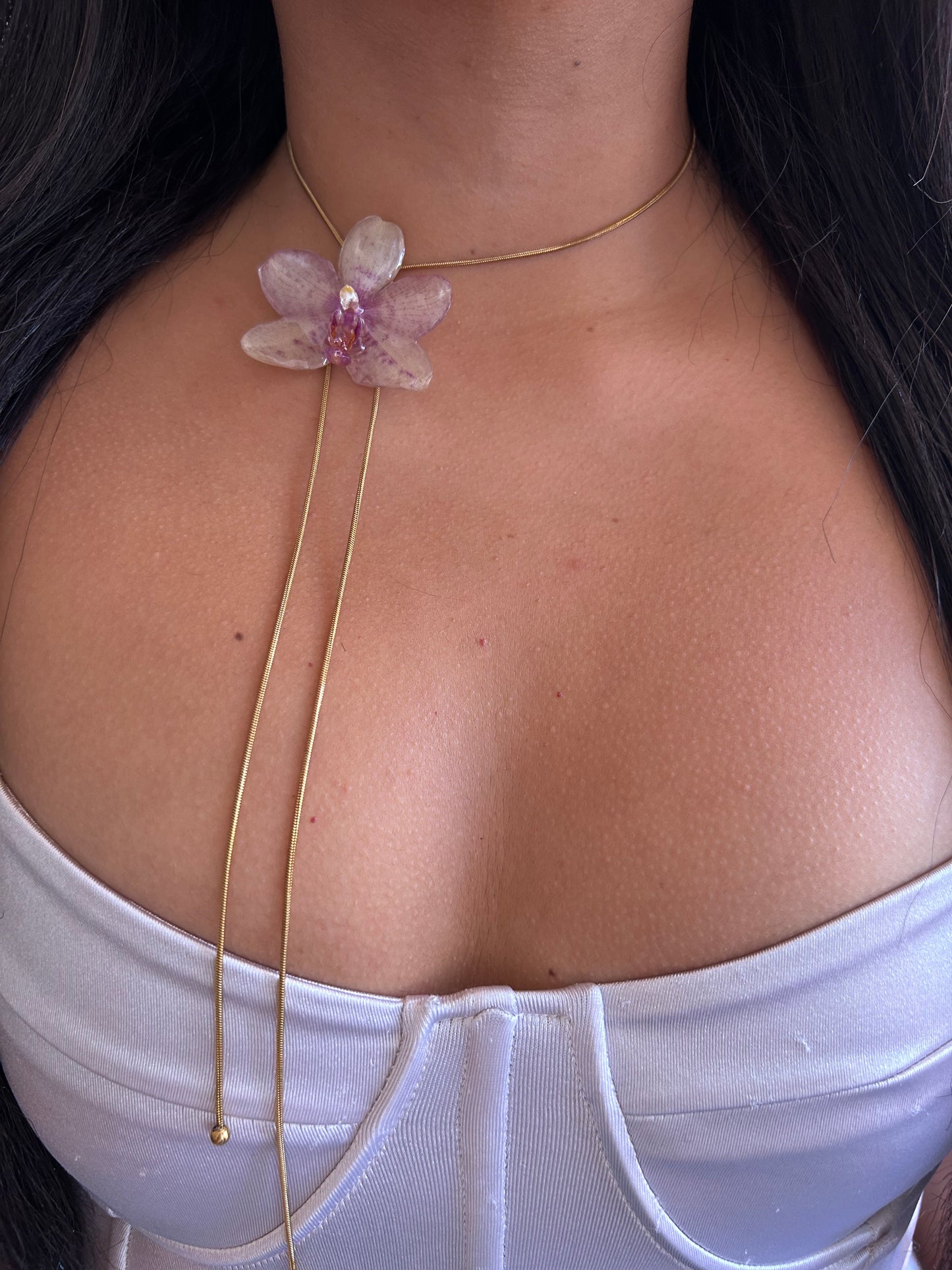 Orchid mini Grosseto