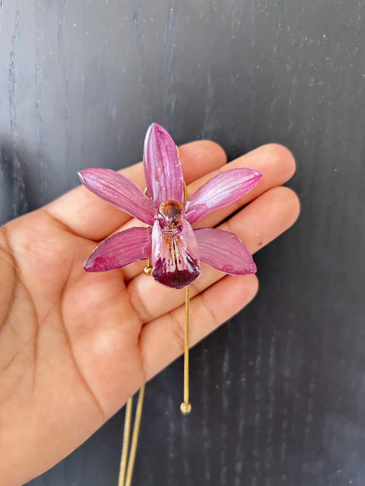 Cymbidium malva