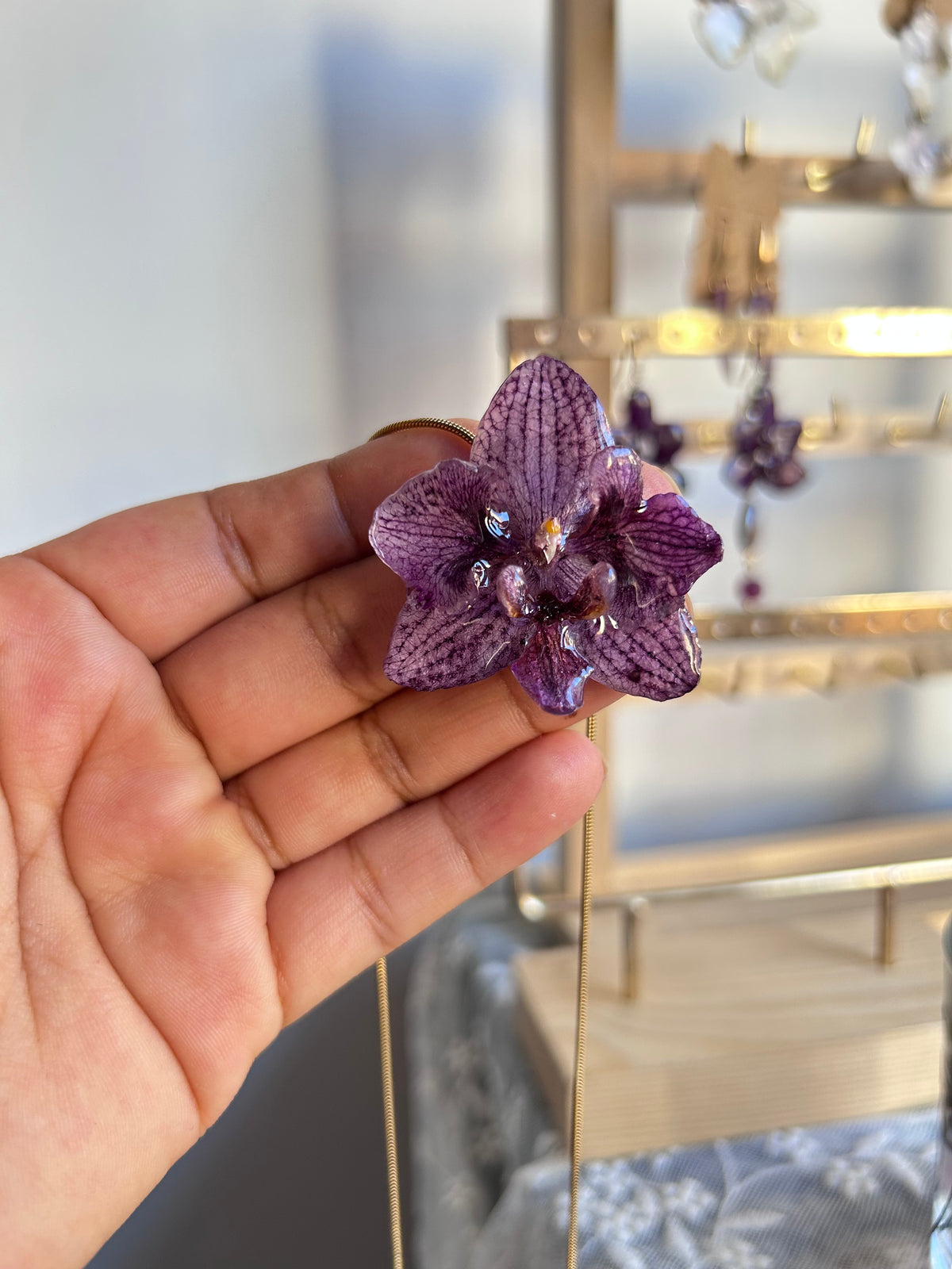 Phalaenopsis híbrida