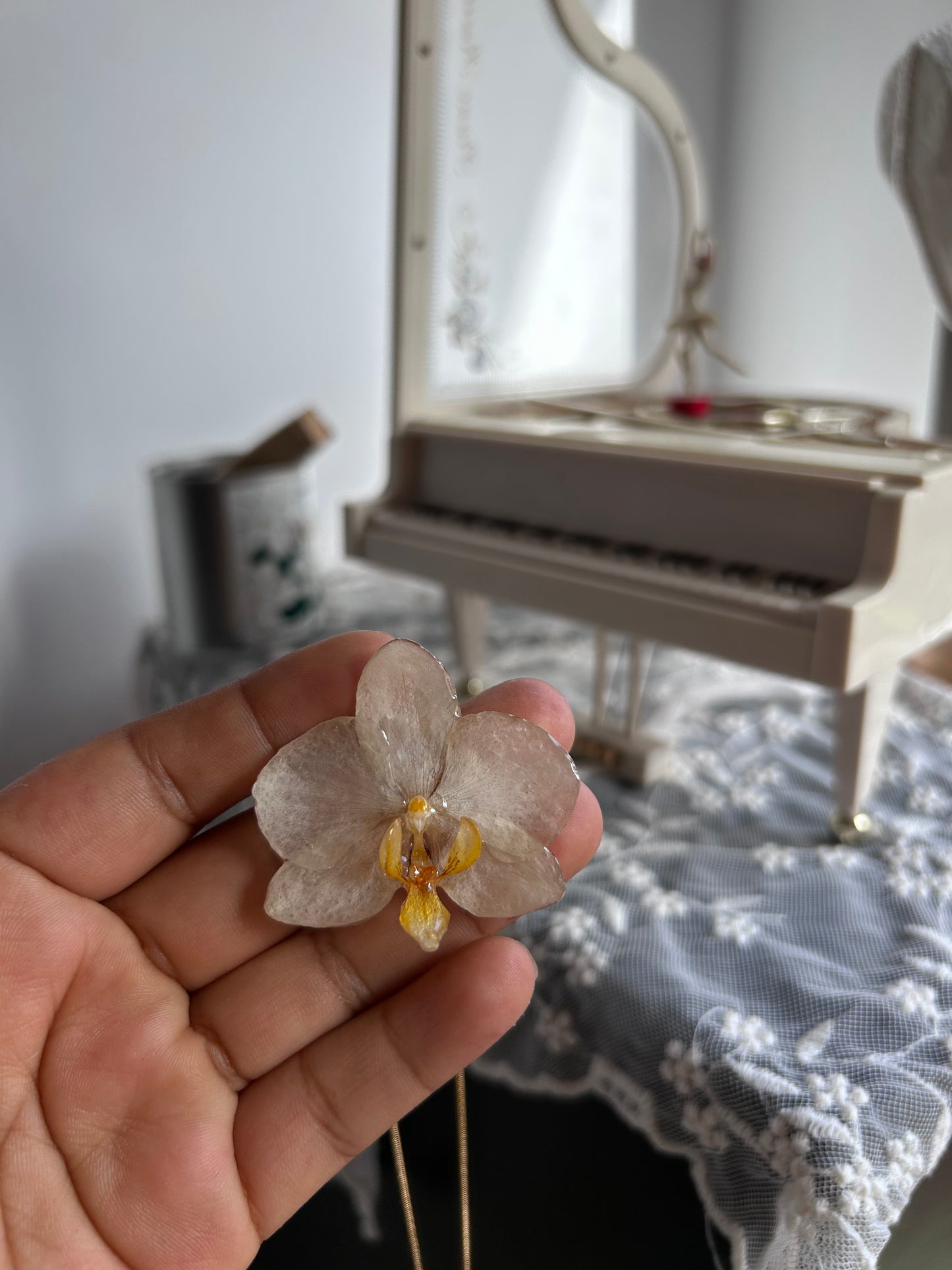Orchid mini white