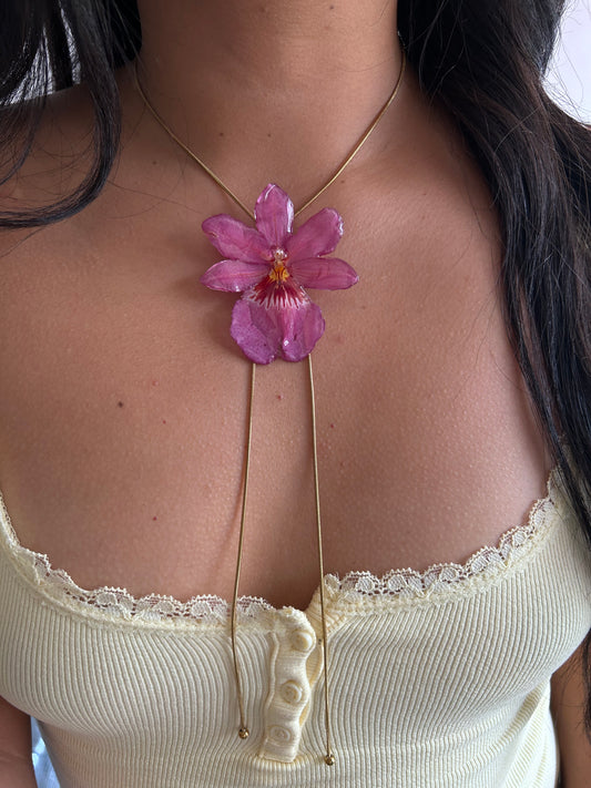 Nelly isler pink
