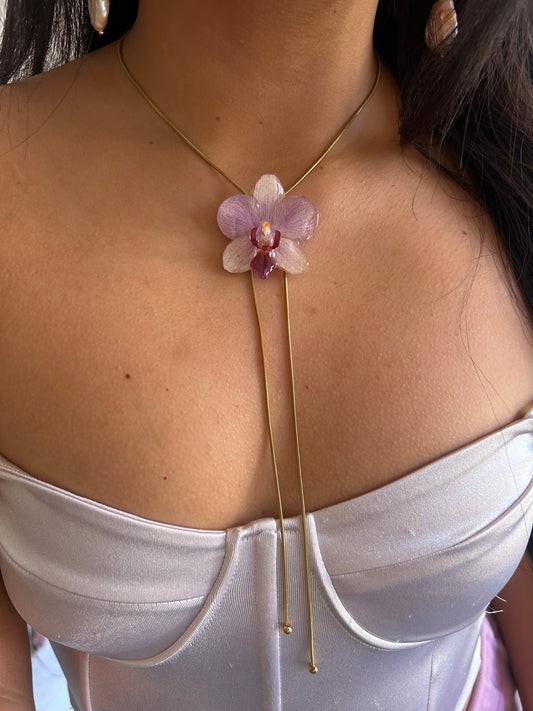Orchid mini