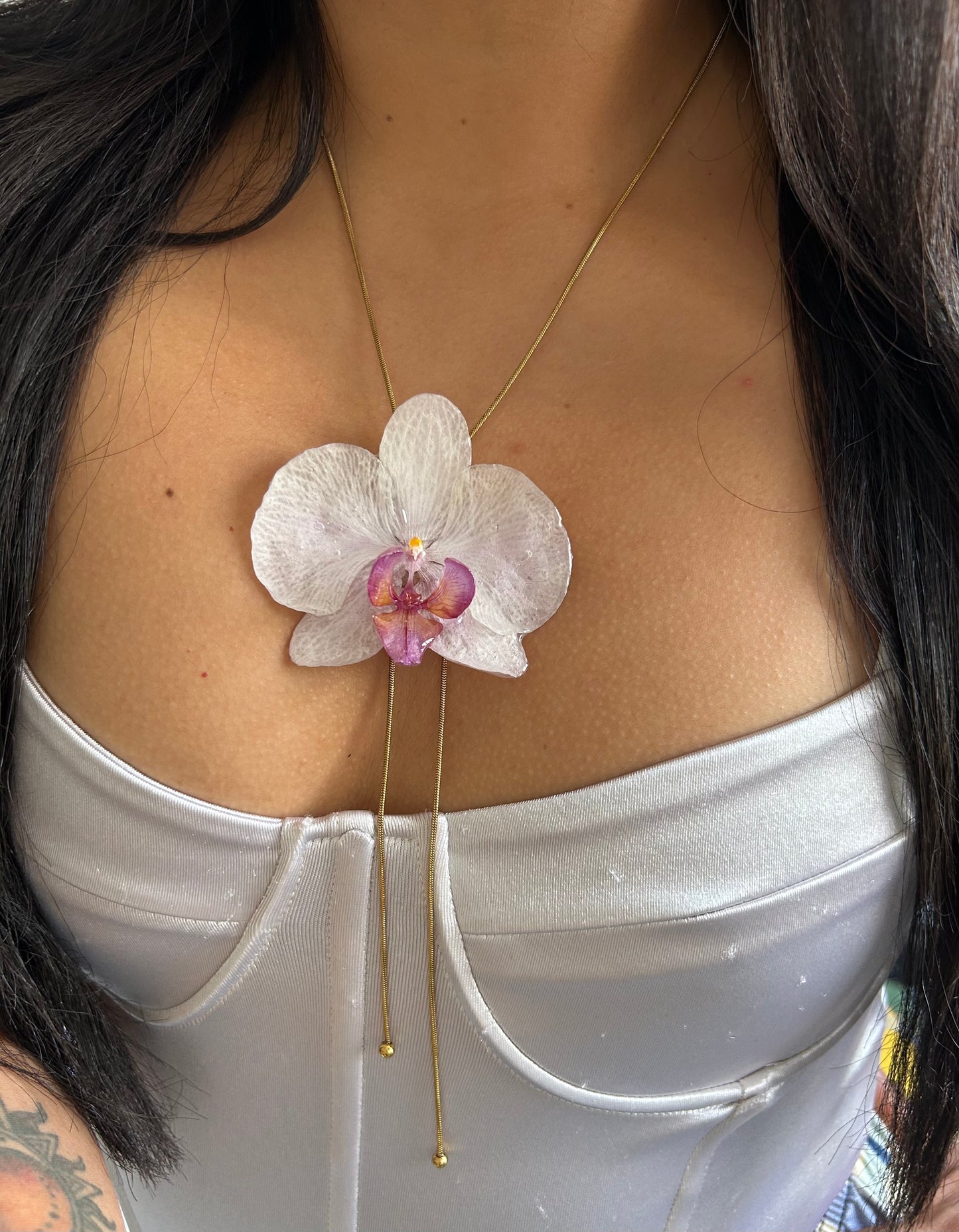 White phalaenopsis orchid