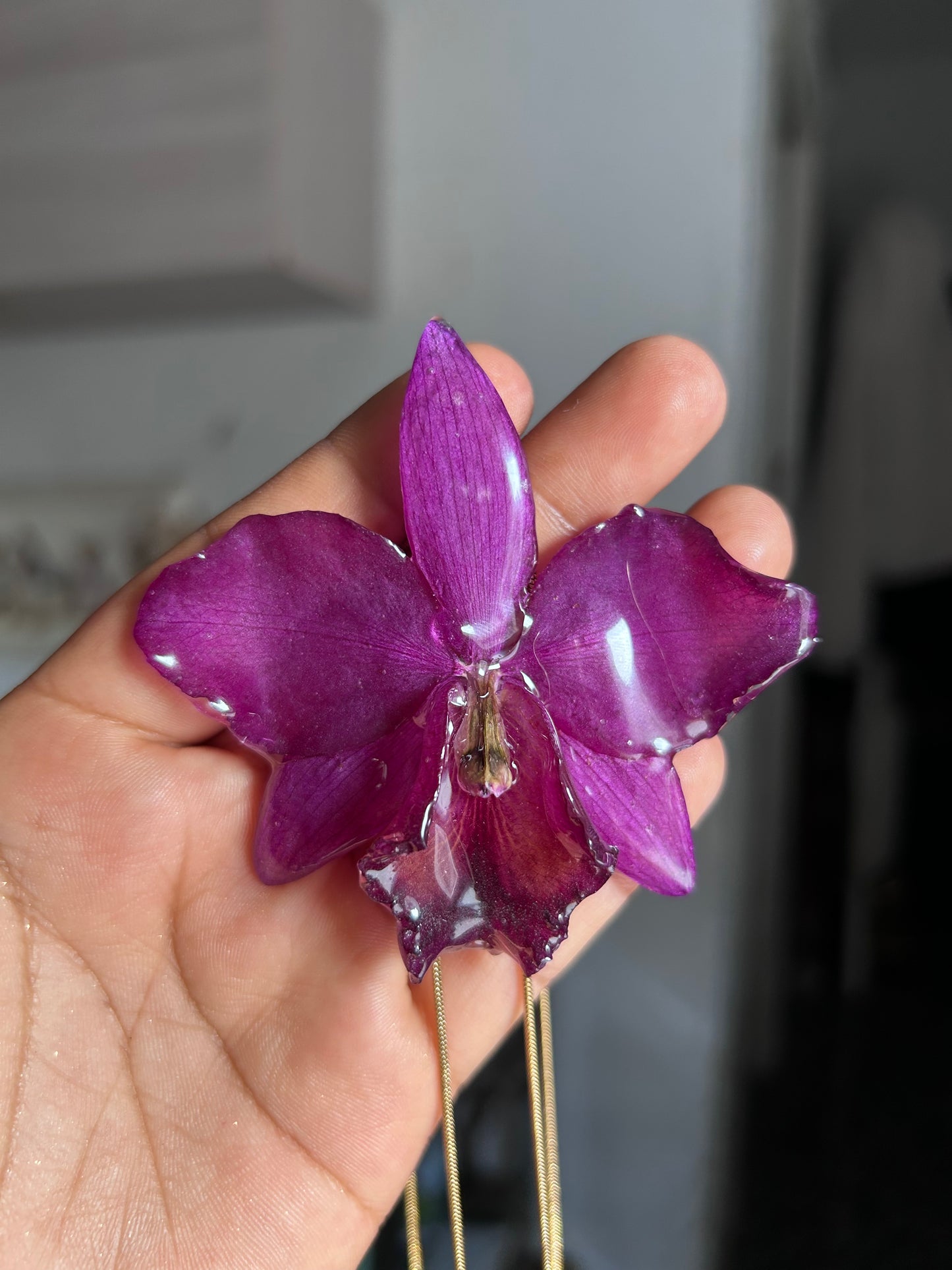 Orchid Cattleya purple