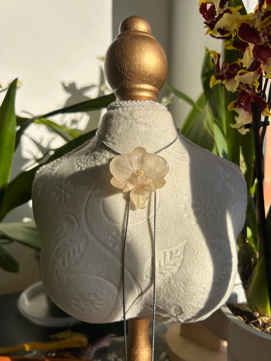 Orchid súper mini white