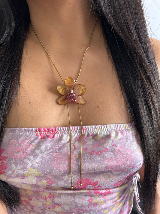 Orange orchid