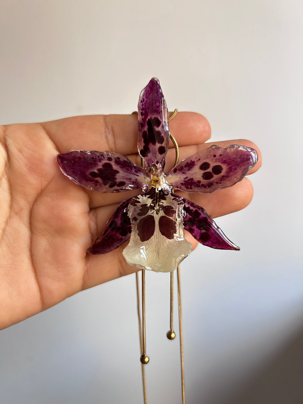 Exotic orchid