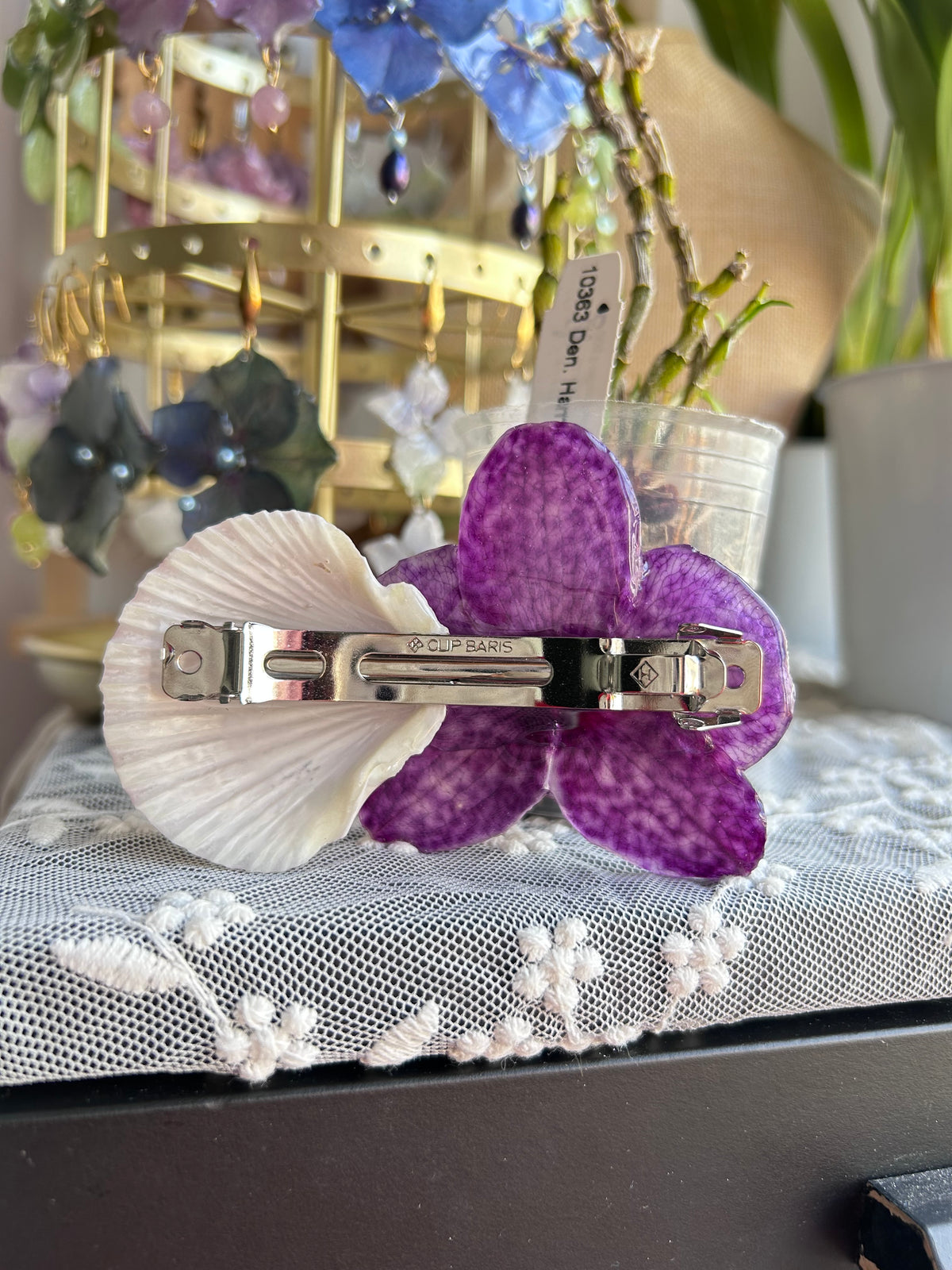 Gran clip Phalaenopsis moteada