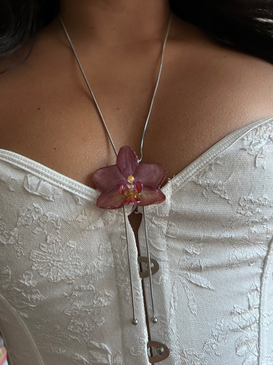 Orchid Phalaenopsis mini pink