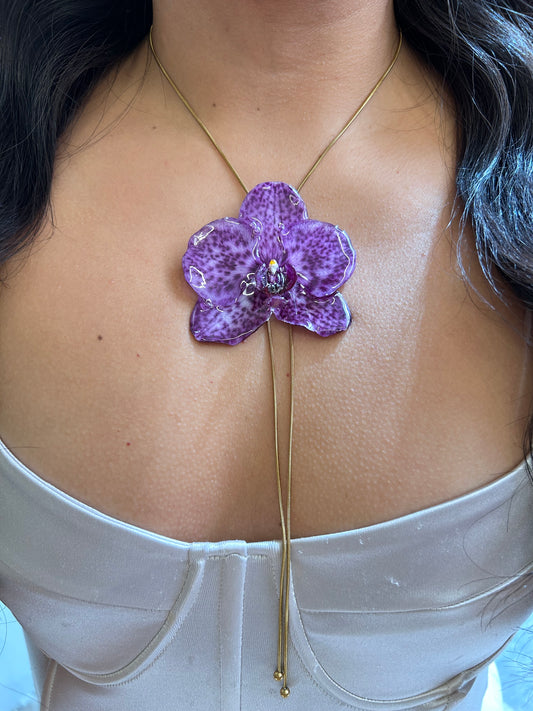 Grand Orchid moteada