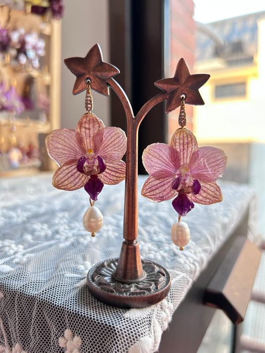Orquídeas mini Phalaenopsis