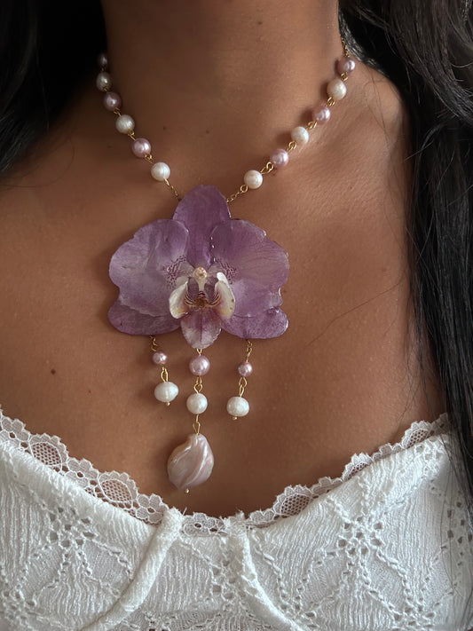 Dulce lila Orchid