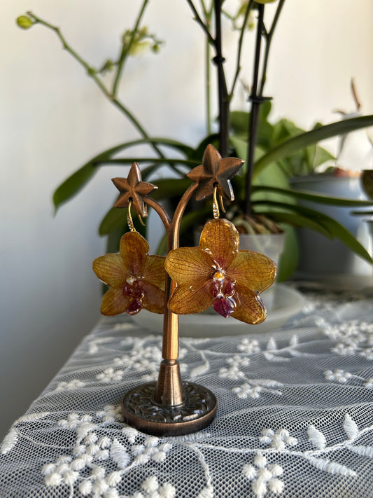 Orange orchid earrings