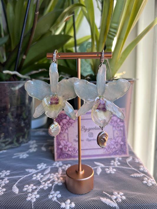 Soft sea orchid