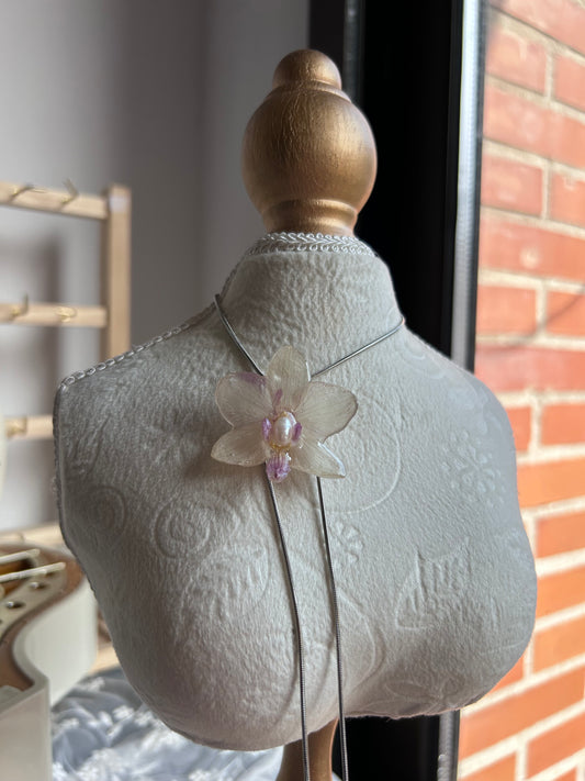 Orchid mini white