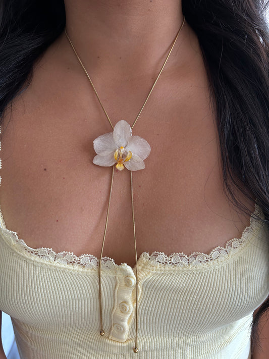 Orchid mini white