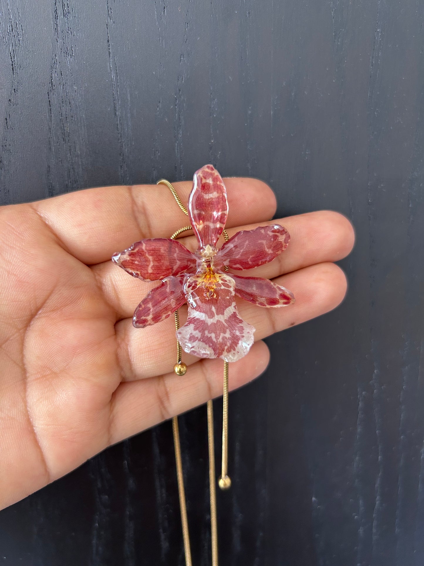 Exotic orchid red