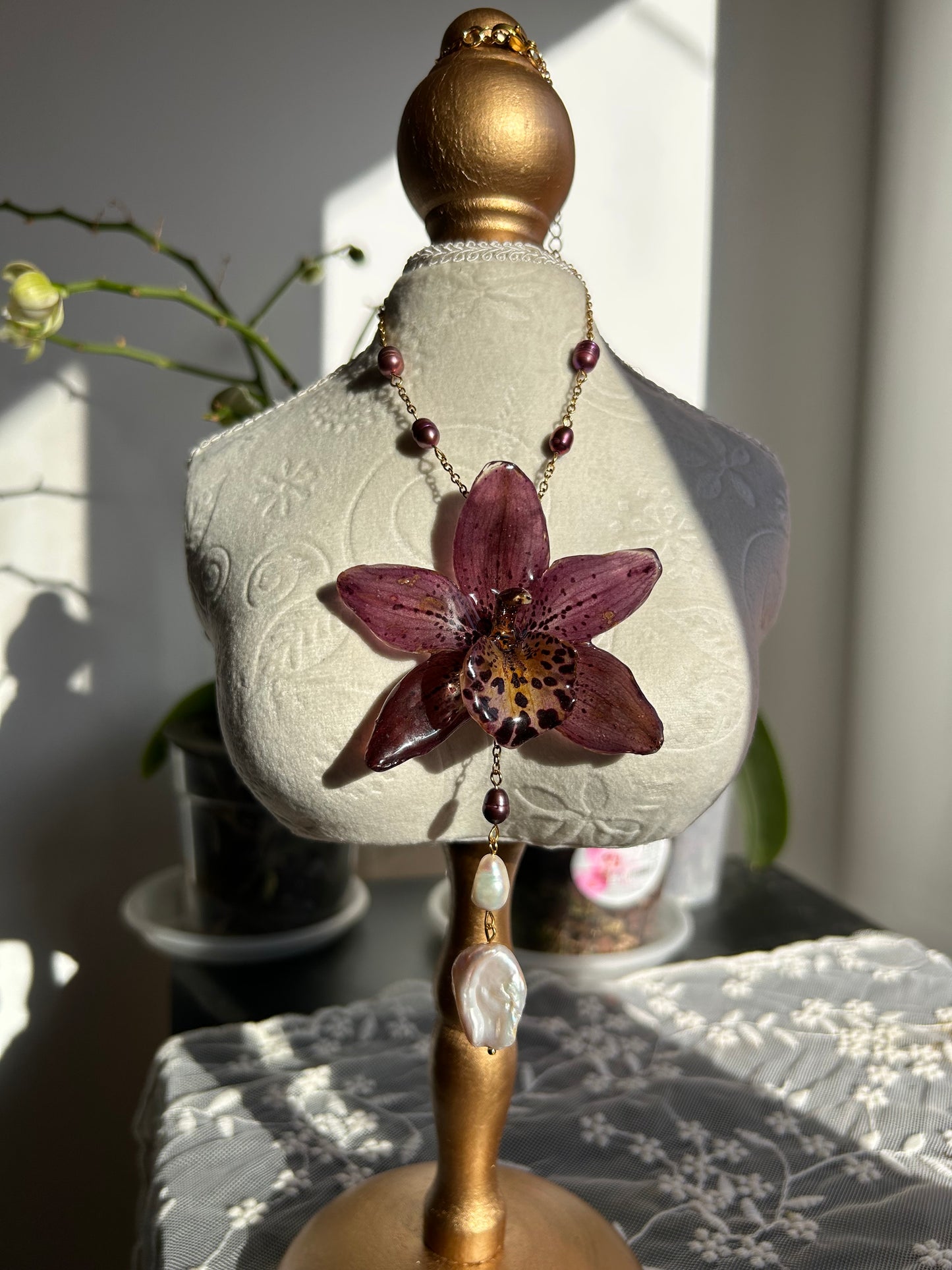 Cymbidium moteada