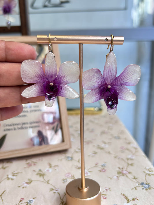 Pendientes dendrobium x phalaenopsis