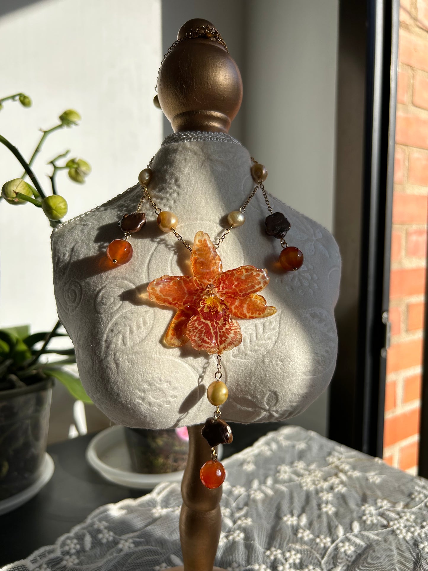 Exotic orange orchid