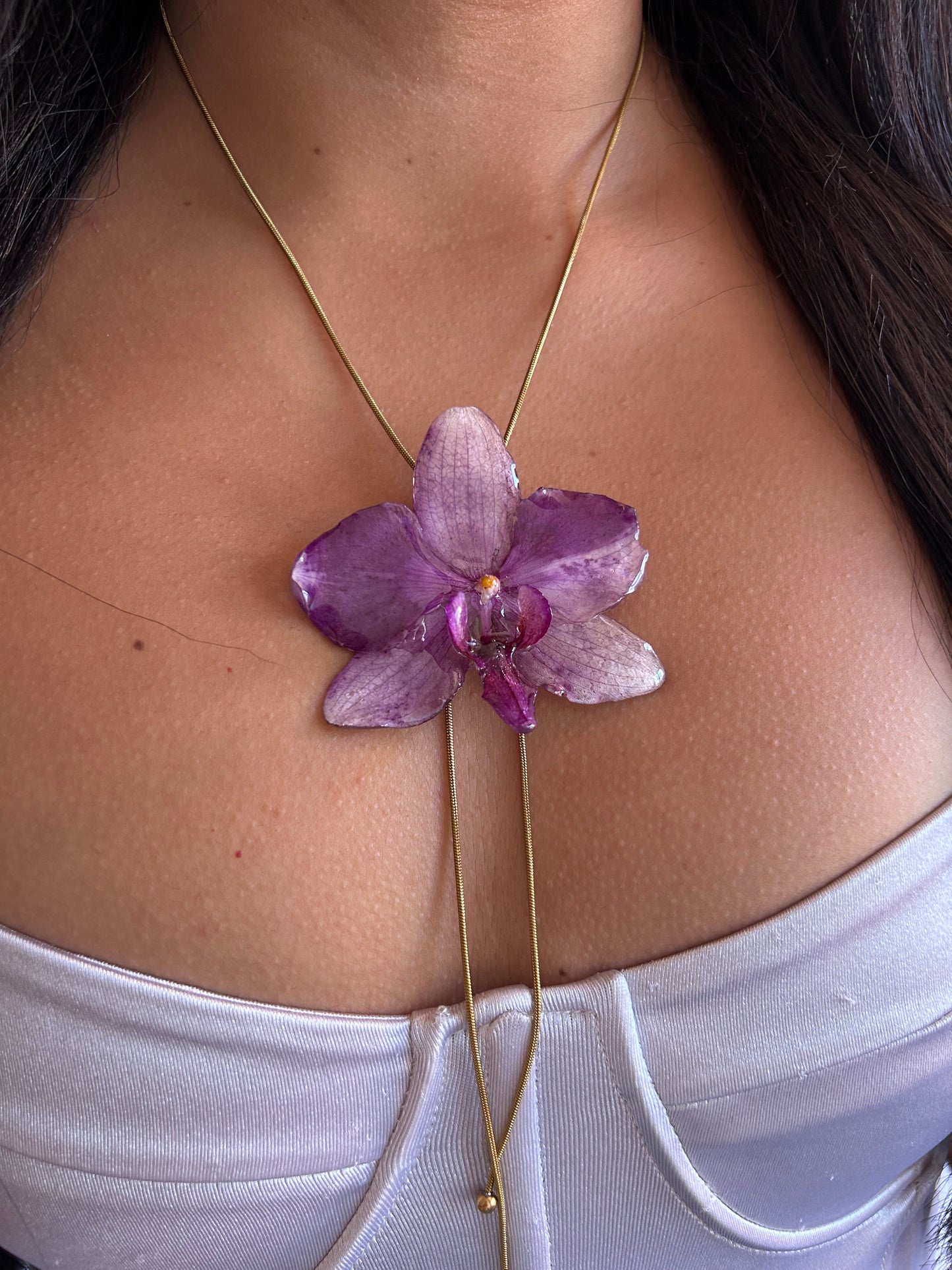Grand Phalaenopsis purple