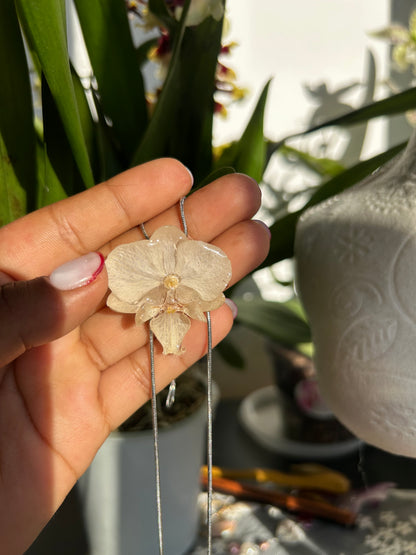 Orchid súper mini white