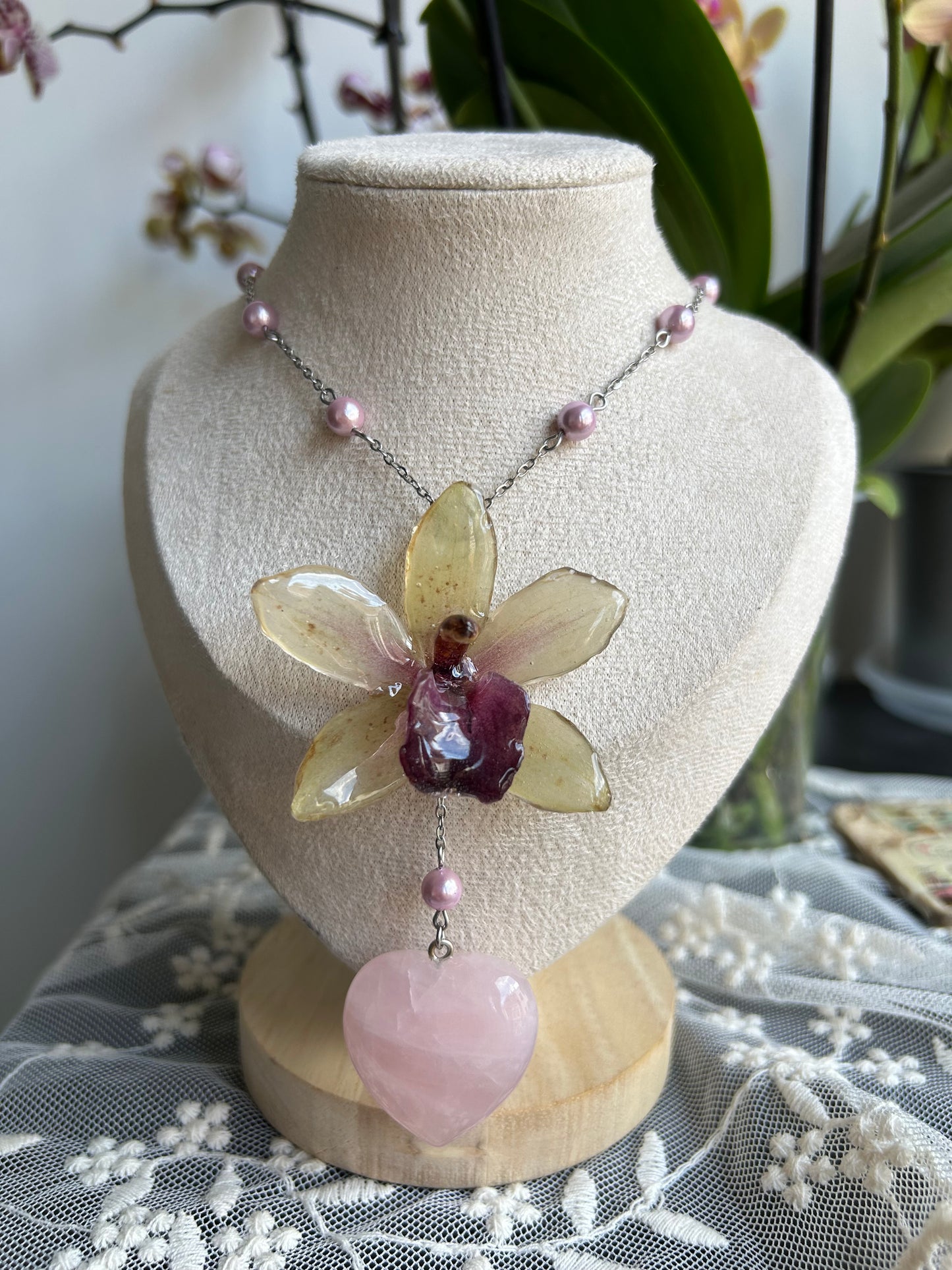 Tropical orchid