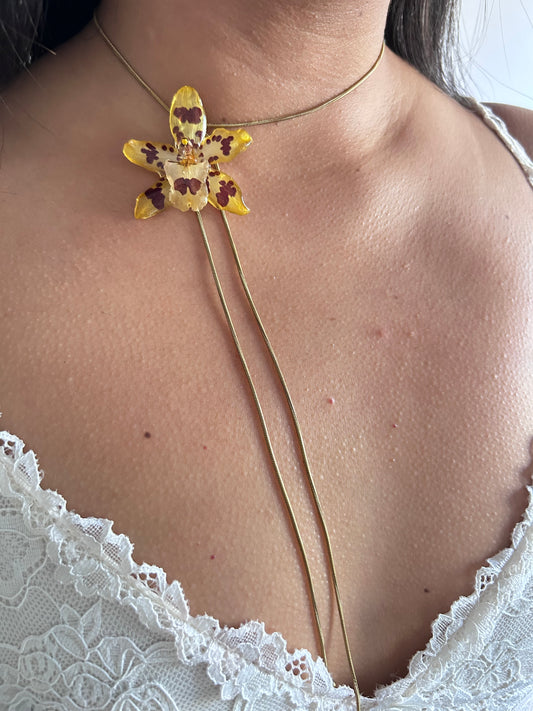 Exotic orchid wild yellow