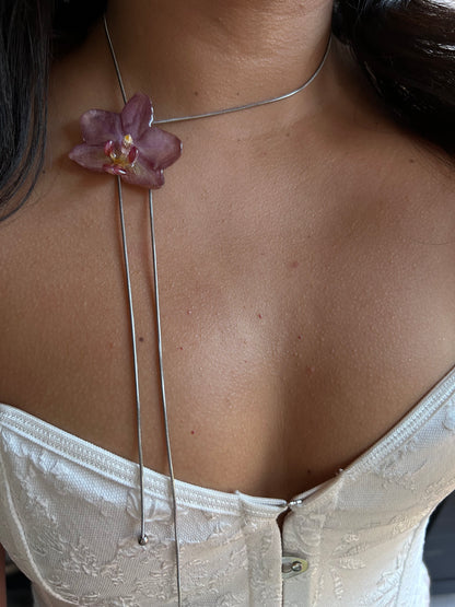 Mini pink Phalaenopsis orchid
