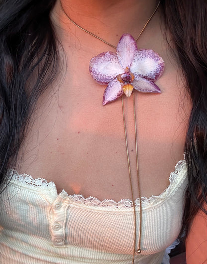 Grand Orchid