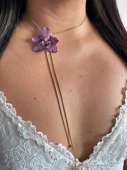 Phalaenopsis híbrida