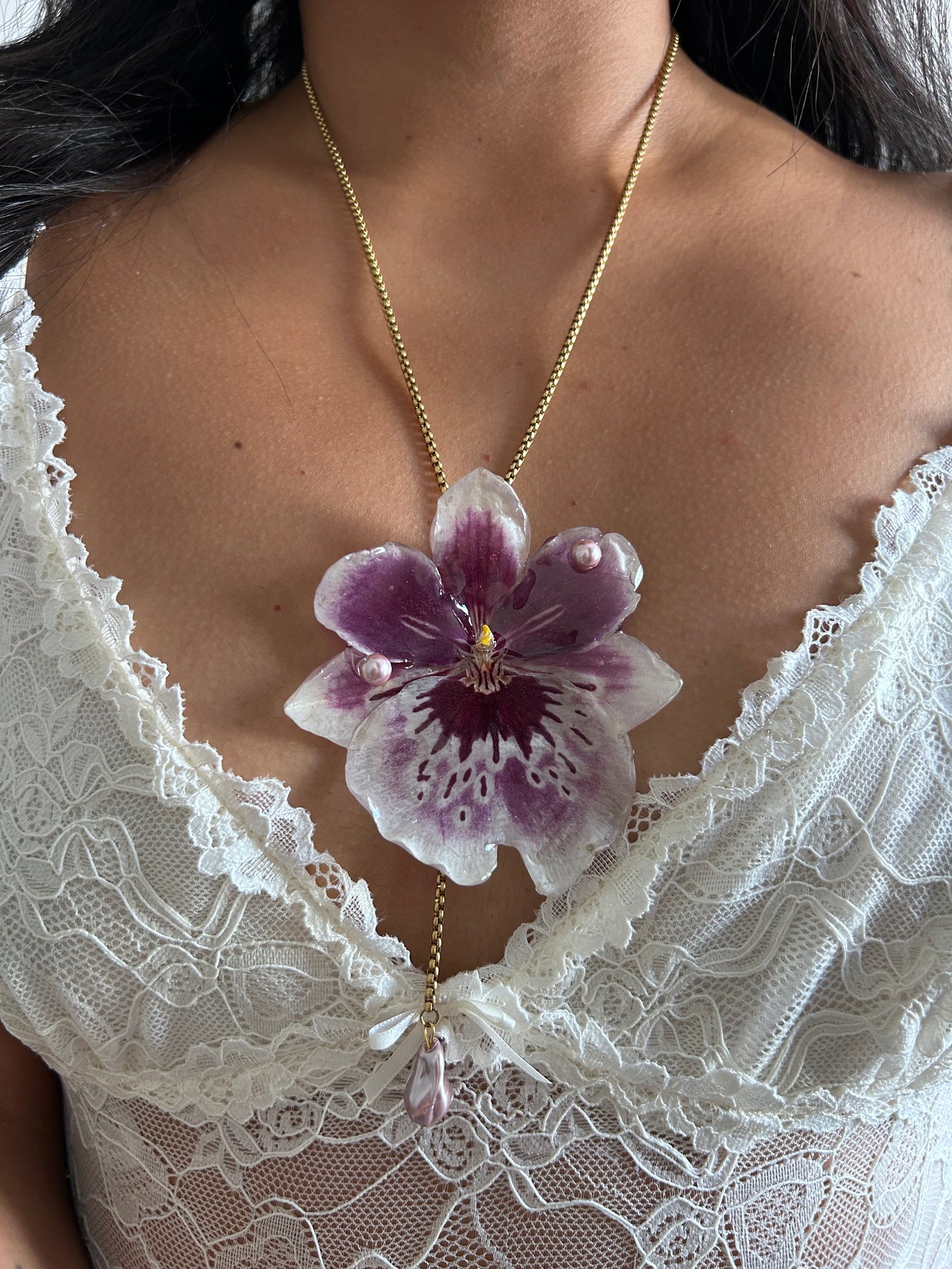 Gran Miltonia corbatín