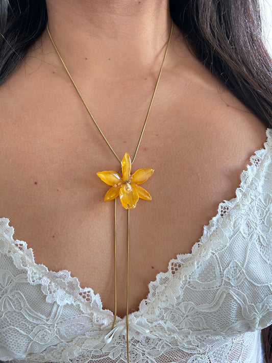 Mini Cattleya