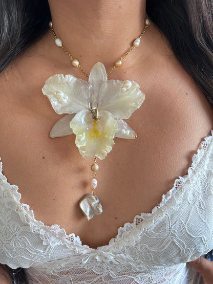 Grand Cattleya white