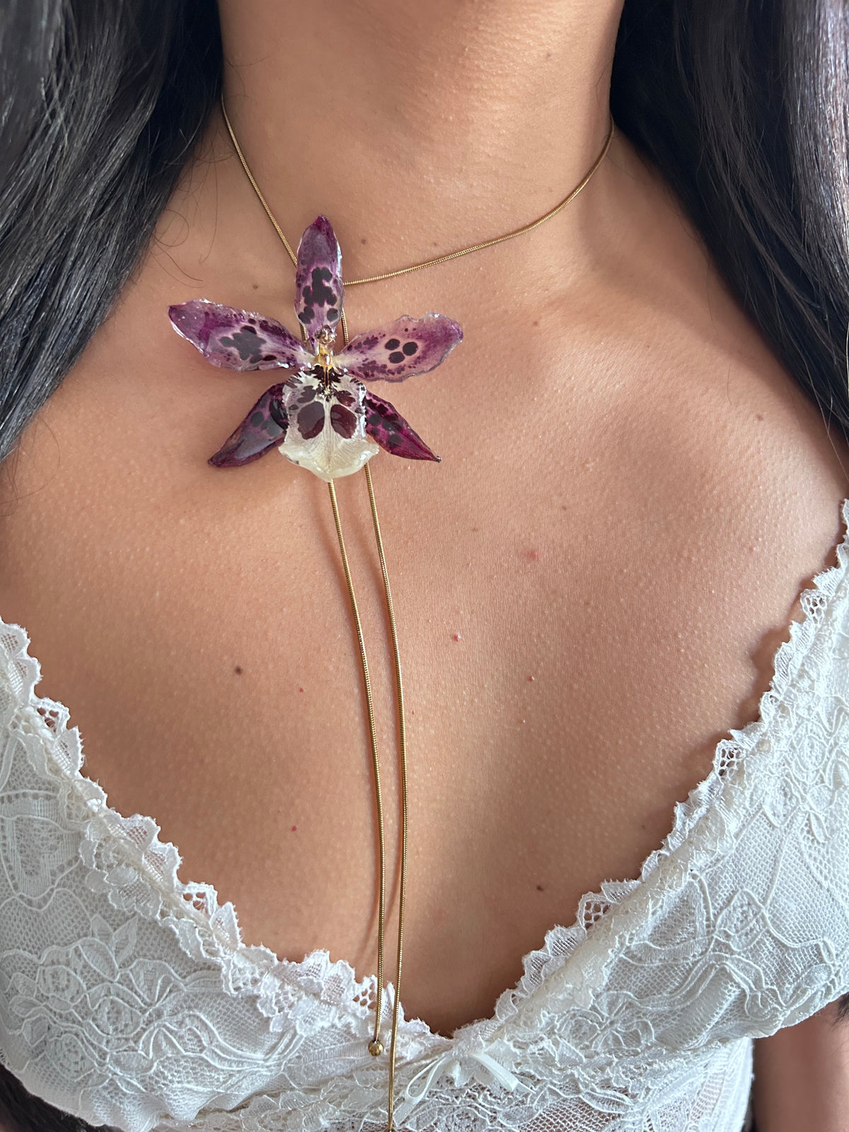 Exotic orchid