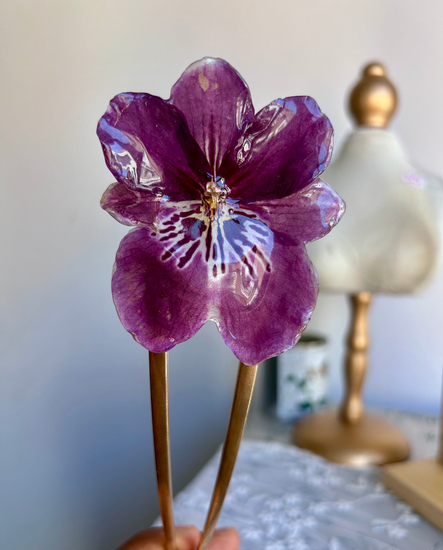 Pinza orquídea Miltonia