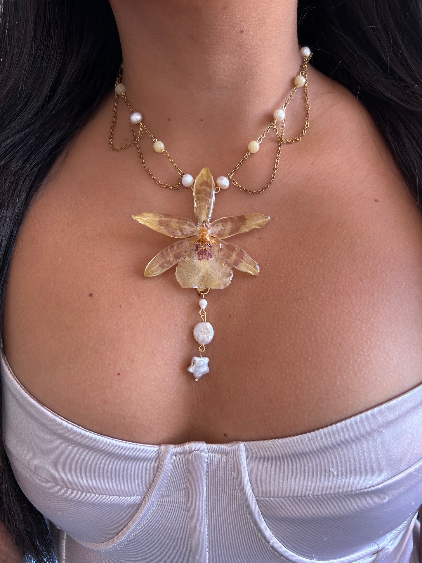 Cambria star